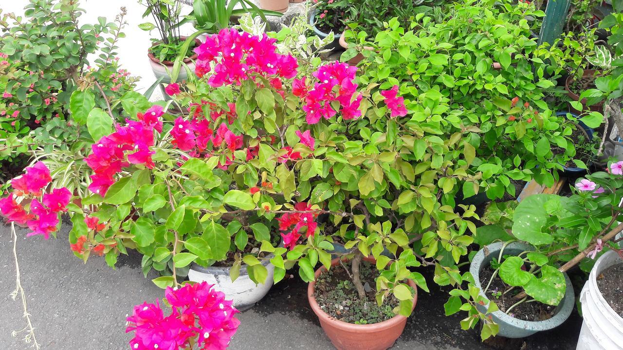 Hai Xia Your Home Fulong Bagian luar foto